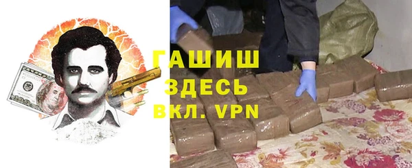 гашик Алексин