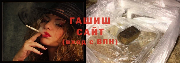 гашик Алексин