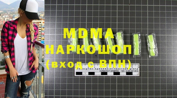 гашик Алексин